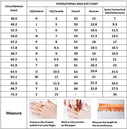 925 sterling Silver Hammered Effect Chunky Spinning Ring for Women and Men treasurebayb2b